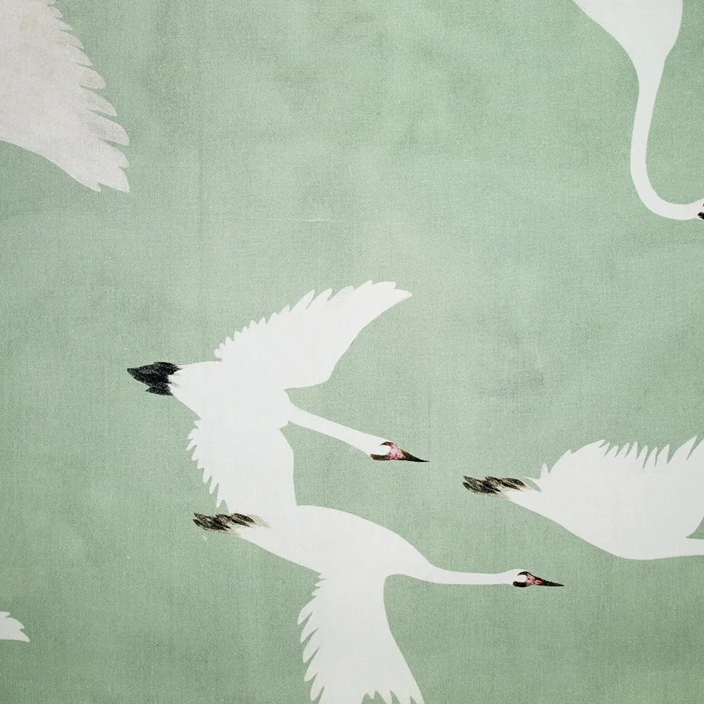 Coton imprimé envolée cygnes écru fond vert pastel