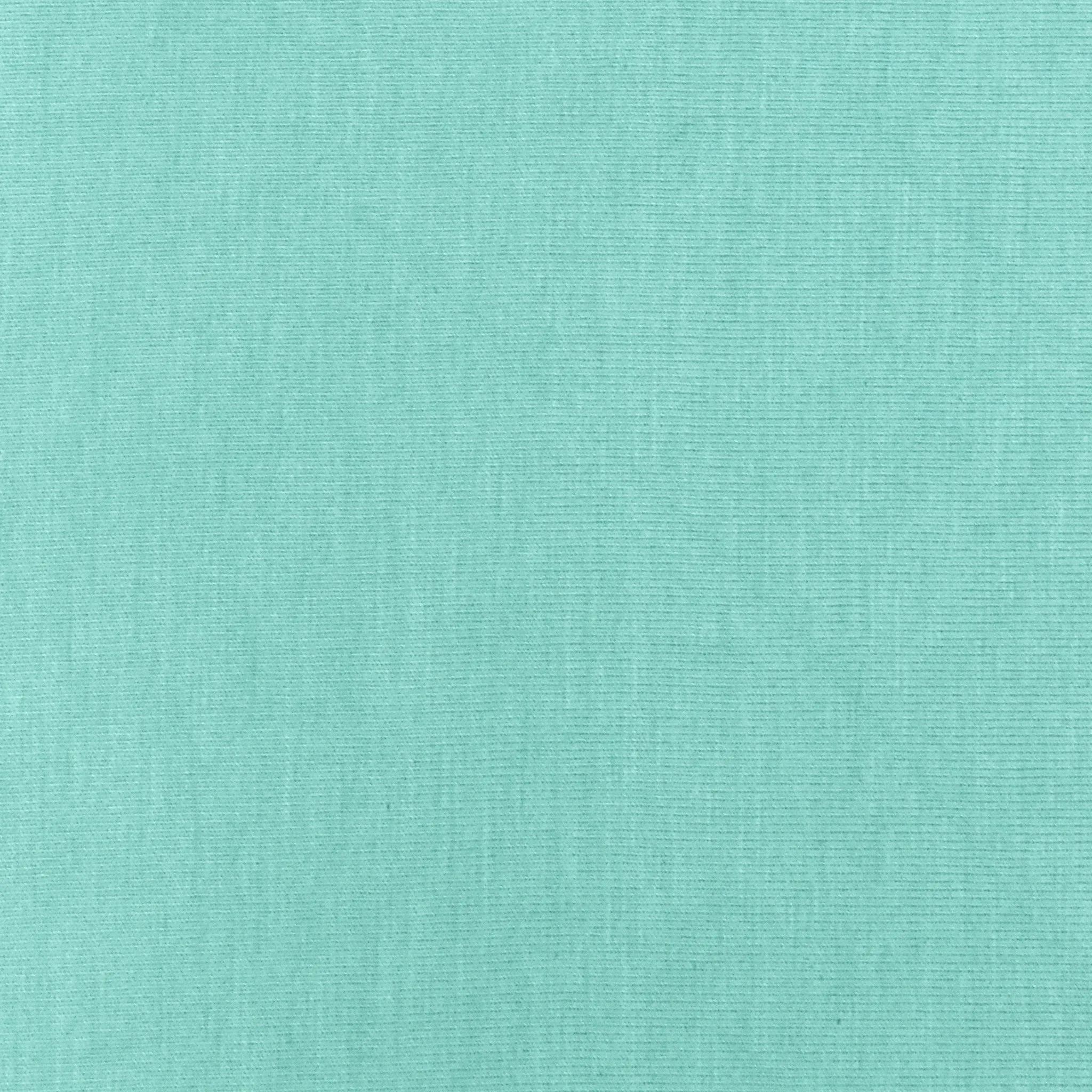 Pastel Teal Stretch Slub Jersey Knit Fabric